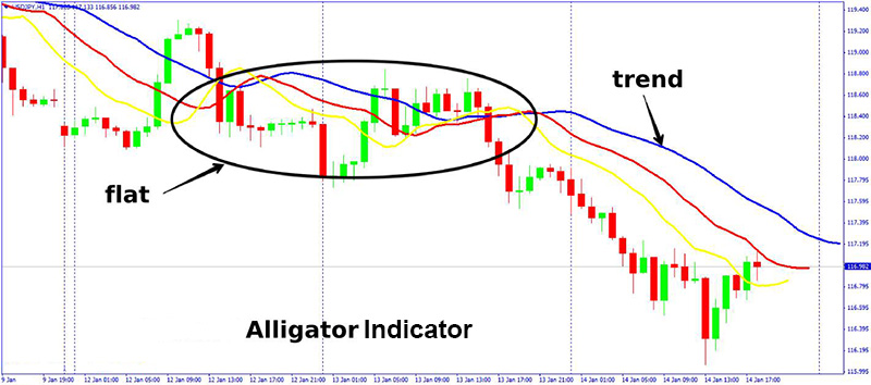 Sleeping Market or Trend Absence