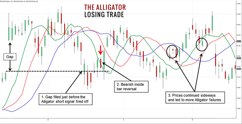 What is Alligator Indicator?