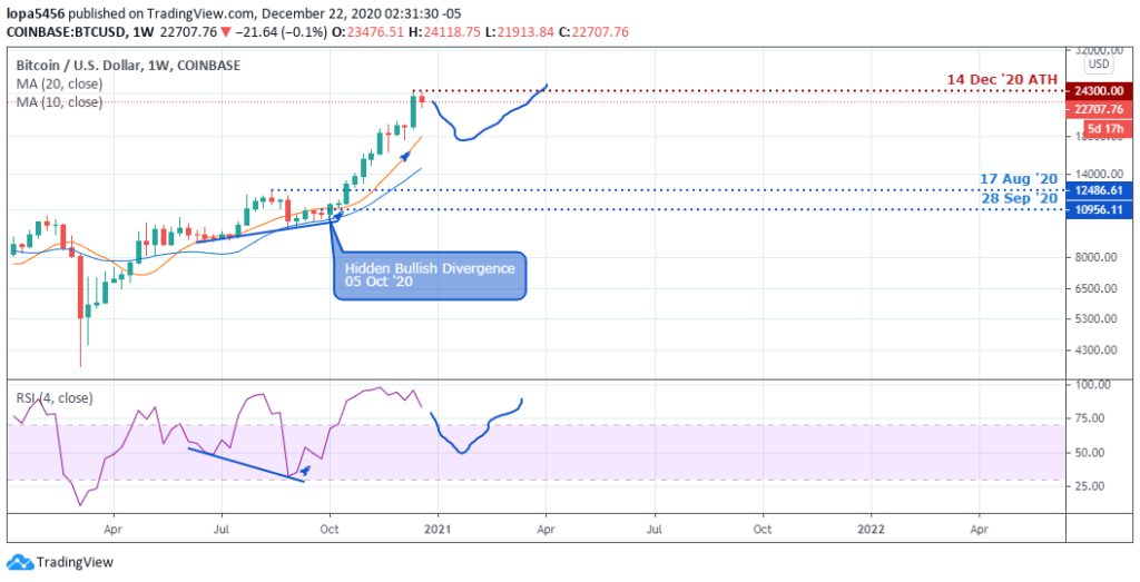Weekly Chart of BTCUSD (TradingView) - 23rd December 2020